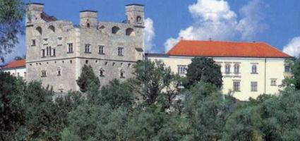 The  Rákóczi castle