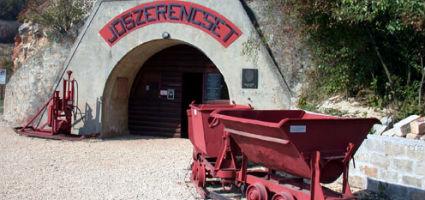 The backyard of the museum is the entrance to the exhibition case