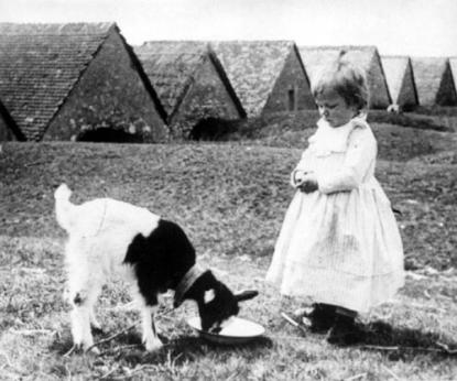 André Kertész: Girl with lamb