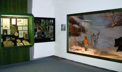 A taste of the exhibition