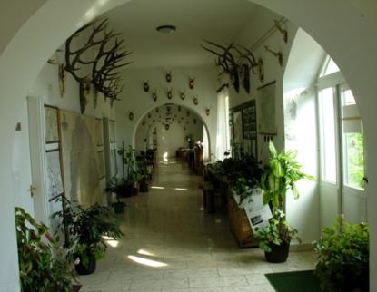 The Corridor of the Museum