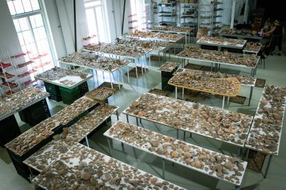 A leletek restaurálásával a budapesti Salisbury Kft. munkatársai foglalkoznak, akiknek  elképesztő mennyiségű, 60 rekesznyi anyaggal kell megbirkózniuk, a megközelítőleg 100 darab edény helyreállításakor.  