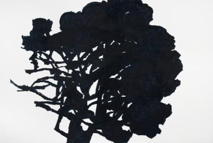 Sándor Hollán: The Big Oak in Garde, 2012