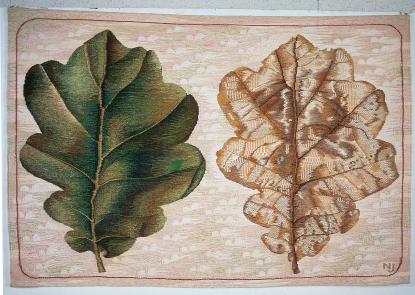 Judit Nagy: Transformation Judit Nagy: Transformation