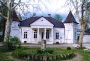The museum building