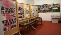 110 éves a MTM Bakonyi Természettudományi Múzeum geológiai gyűjteménye, enteriőr