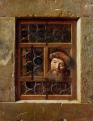 Samuel van Hoogstraten: Idős férfi az ablakban, 1653, Kunsthistorisches Museum Wien, Gemäldegalerie