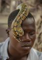 Bertin épp egy pitonnal játszik az Akodessawa Fétispiacon, a világ legnagyobb vudupiacán, ahol saját standja van. Gyakran alkalmazott módszer porított kígyófogat beadni újszülötteknek injekció formájában kígyómarás elleni védelemként.