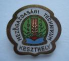 1970-ben ünnepelték a keszthelyi Nagyváthy iskola fennállásának 25. évfordulóját, erre az alkalomra külön jelvény készült a tanároknak, diákoknak.