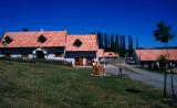 The Farm and Buildings on It