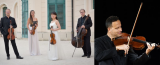 Szigeti quartet és Szücs Máté kollázs