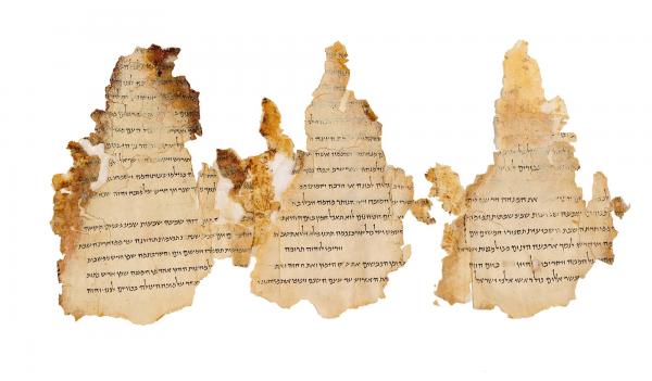 Templom-tekercs<br>
19-21. hasáb<br>
Qumrán, 11. barlang<br>
I. e. 1. század vége - i. sz. 1. század eleje<br>
Héber nyelvű; tinta és pergamen<br>
18 x 40 cm<br>