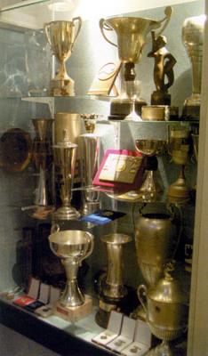 Medals and cups of the national group of Hungarian swimmer