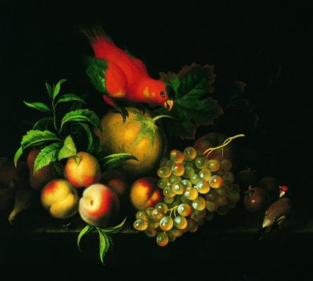Stranover Tóbiás (1684-1756): Csendélet gyümölcsökkel és papagájjal (1730 körül)