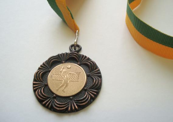 Az okleveleken kívül bemutatunk egy bronzérmet: a fiú röplabda csapat nyerte a 2003-as megyei döntőn.