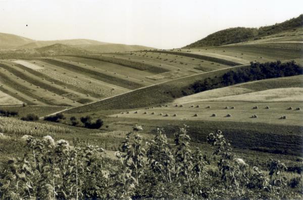 Palócföldi hegyek-völgyek Hollókőnél, 1940-es évek