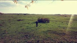 Halmok legendái és régészeti tényei - Földpiramisokról a vásárhelyi határtól Mongóliáig a Tornyai-múzeumban