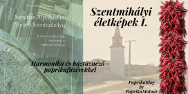 Szentmihályi életképek