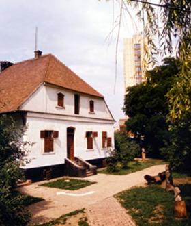 The Building of the Museum (The photo was made by Kiss Béla)