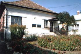 The museum building The museum building