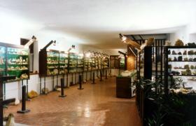 A taste of the exhibition