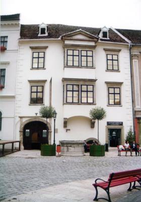 The building of the Fabricius House