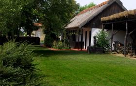 The Yard of the Museum