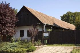 The museum building
