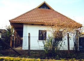 The museum building