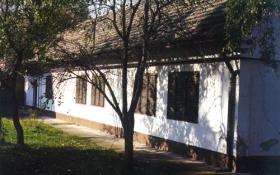 The museum building The museum building