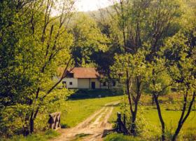 The region house