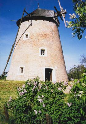 The wind mill The wind mill