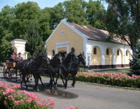 The Coach Museum of the National Ménes Horse-Breeding and Trading Inc. of Mezőhegyes