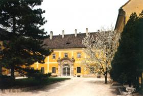 The museum building
