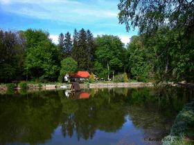 The Creek Cuha and the Zirci Arboretum