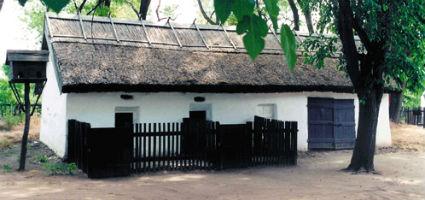 The museum building