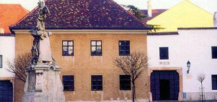 The museum building