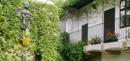 Ferenczy Múzeum - Ámos Imre - Anna Margit Emlékmúzeum épülete
