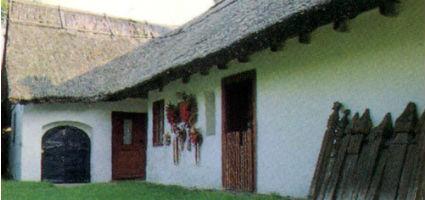 A múzeum épülete