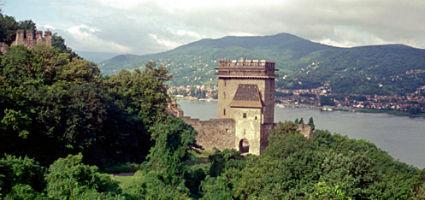 Salamon tower