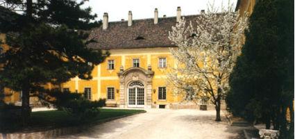 The museum building