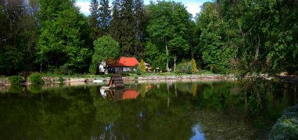 A Cuha patak és a Zirci Arborétum