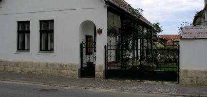 A múzeum épülete