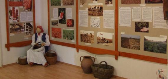 Röszkei Paprika Park - Paprika Üzem és Múzeum