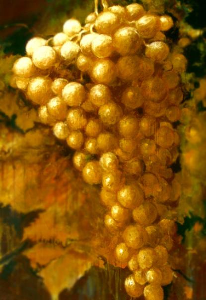 Szőlőfestmény