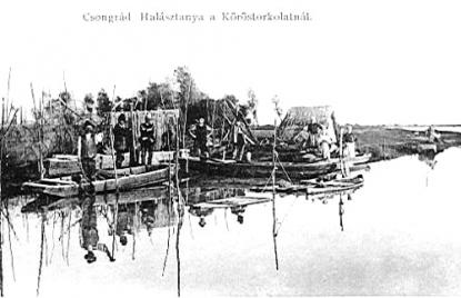 Halásztanya a Köröstorkolatnál