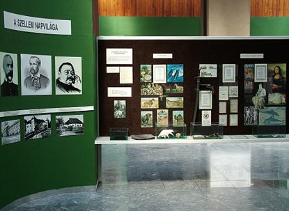Museum pedagogical activity