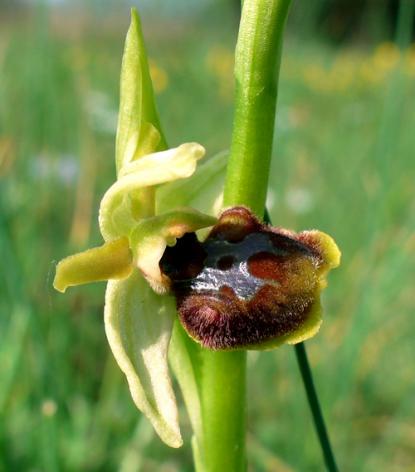 Részlet a kiállításból