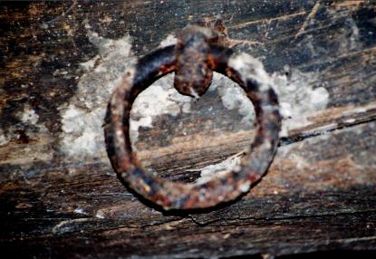 A taste of the exhibition