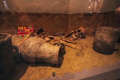 A kincsek őrzője - 150 éves a gyulai Erkel Ferenc Múzeum